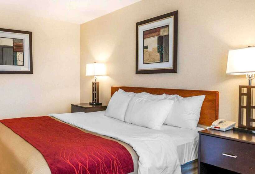 فندق Comfort Inn Avonindianapolis West