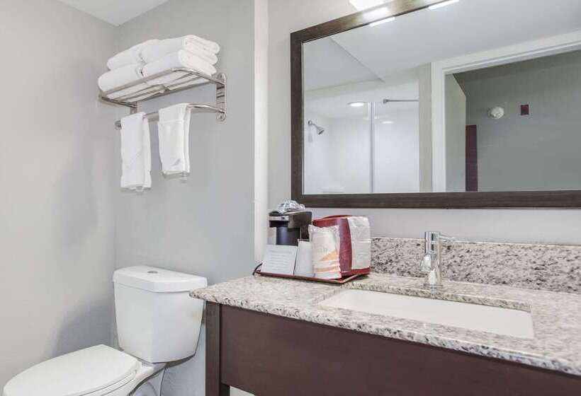 فندق Quality Inn Conway Northwest
