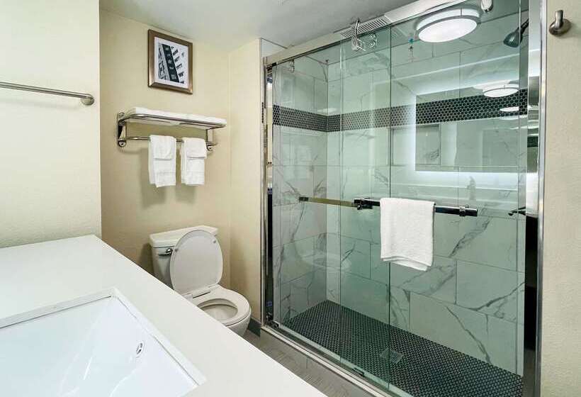 هتل Quality Inn & Suites Lake Charles South