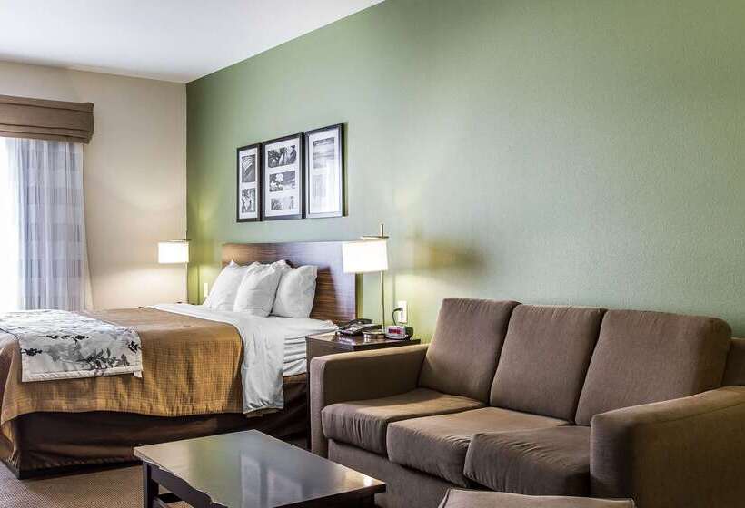ホテル Sleep Inn & Suites Mount Olive North