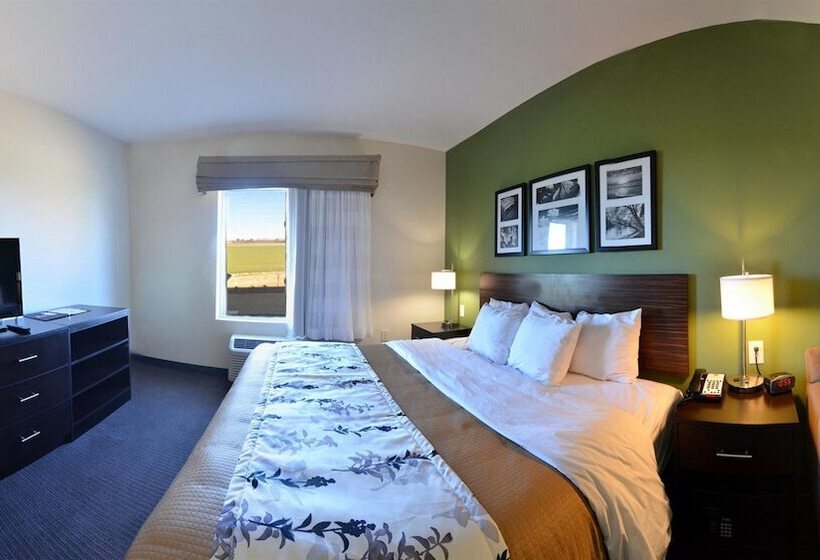 ホテル Sleep Inn & Suites Mount Olive North