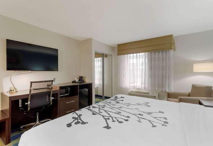 ホテル Sleep Inn & Suites Smyrna   Nashville
