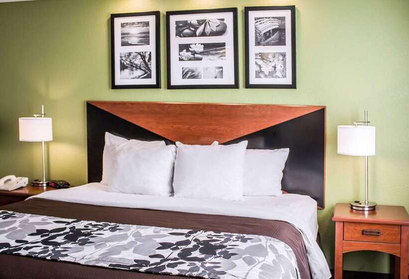 בית מלון כפרי Sleep Inn Beaver Beckley