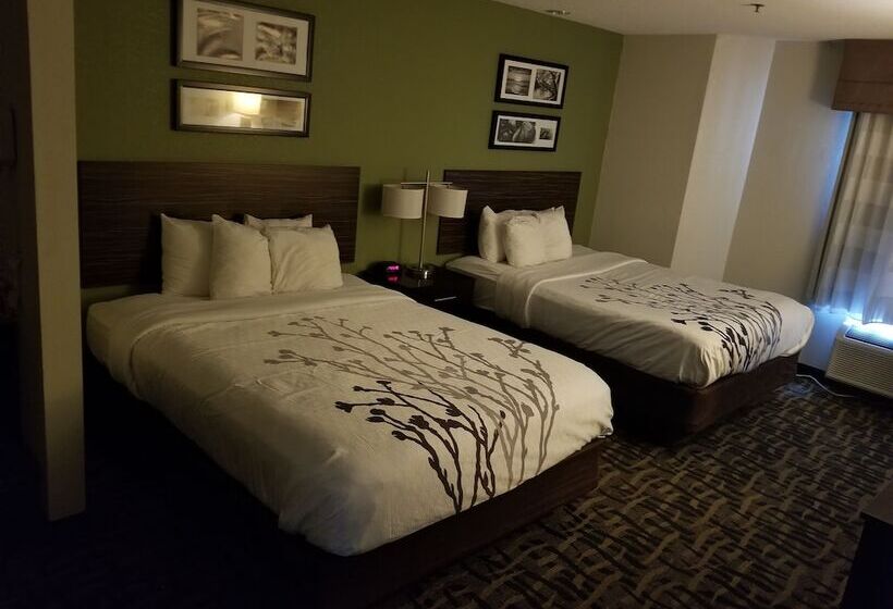 هتل Sleep Inn Decatur I72