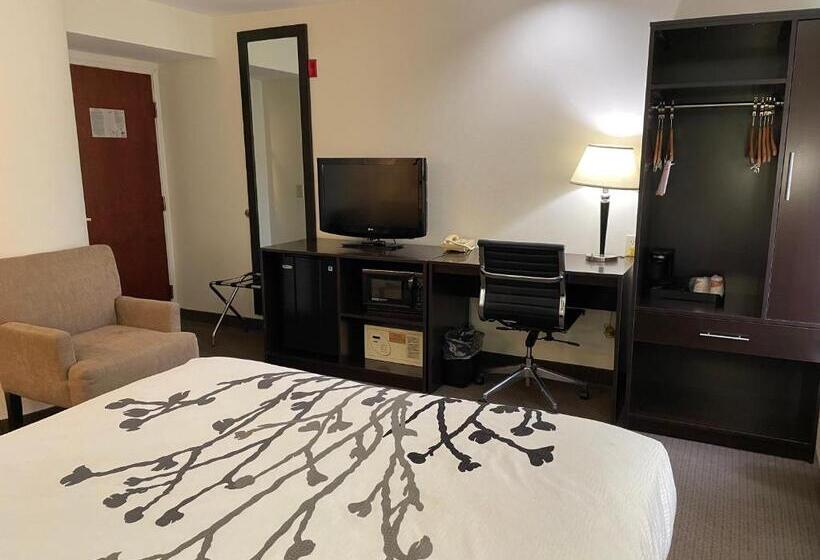 هتل Sleep Inn Raleigh Durham Airport
