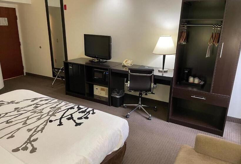 هتل Sleep Inn Raleigh Durham Airport