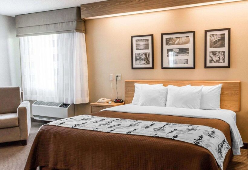 酒店 Sleep Inn Lynchburg University Area & Hwy 460