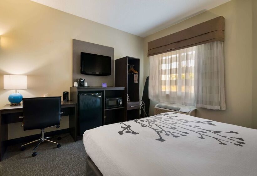 בית מלון כפרי Sleep Inn Manchester Airport