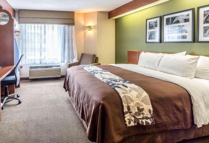 هتل Sleep Inn & Suites Bay View Acme   Traverse City