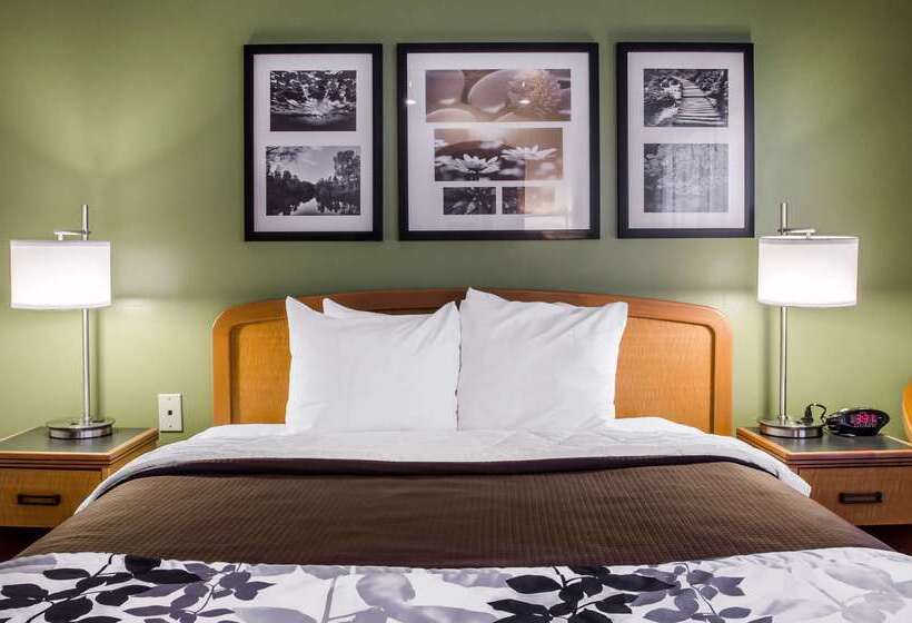 酒店 Sleep Inn & Suites