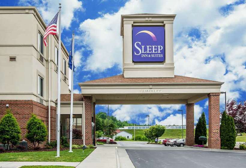 酒店 Sleep Inn & Suites Danville Hwy 58