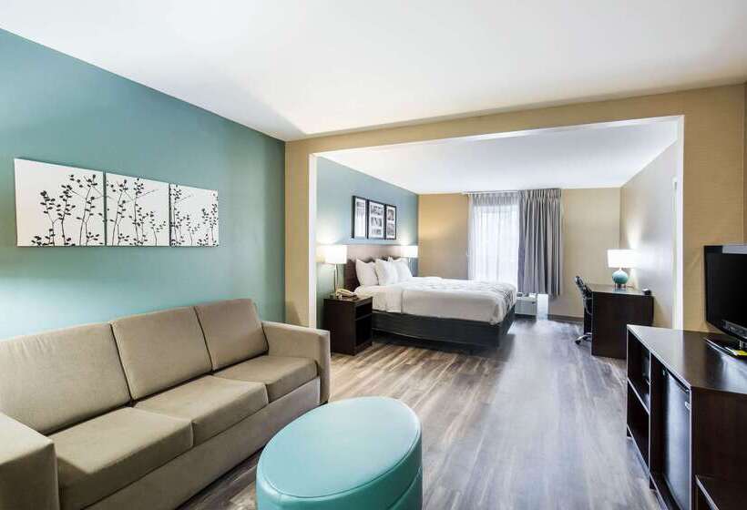ホテル Sleep Inn & Suites