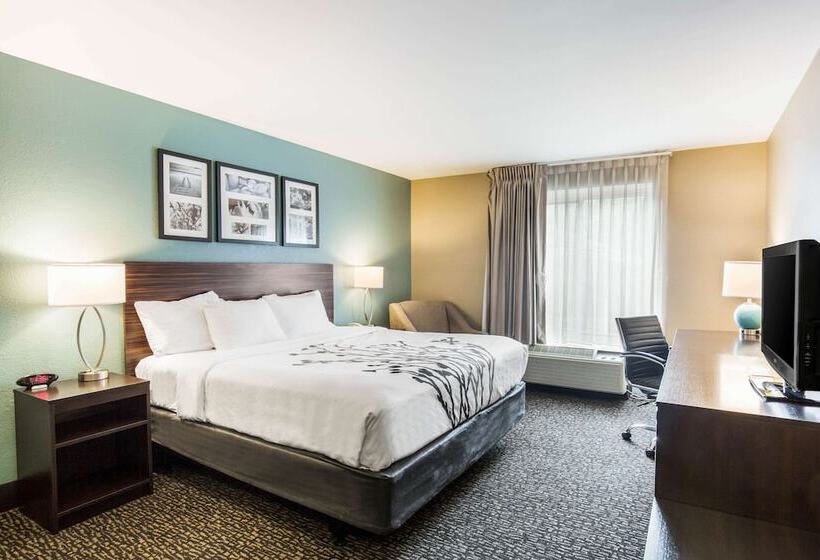 ホテル Sleep Inn & Suites