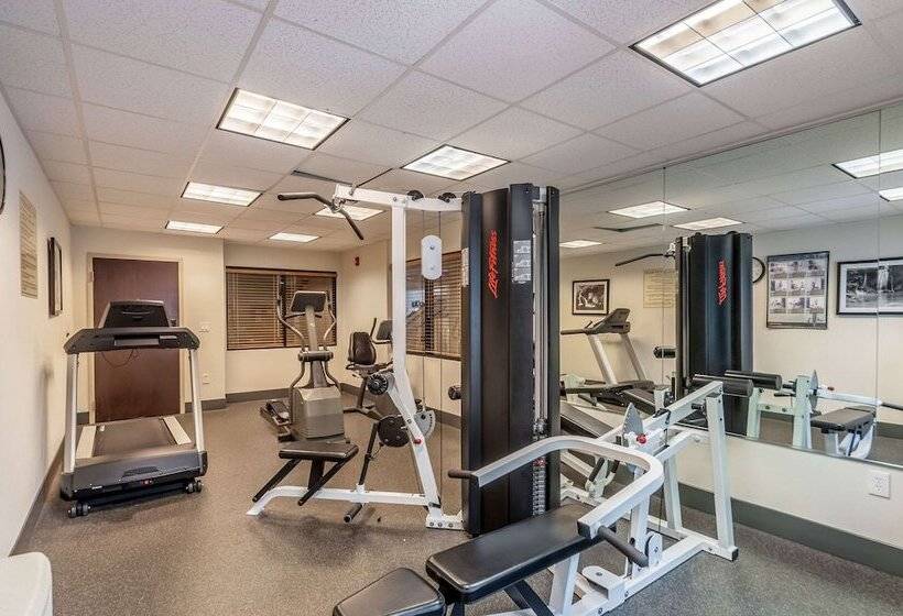 酒店 Sleep Inn & Suites Harrisonburg Near University