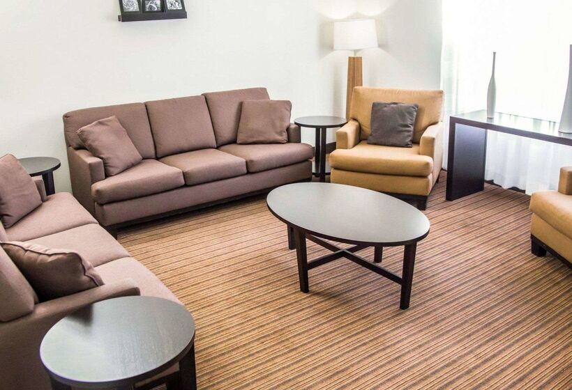 Отель Sleep Inn Tinley Park I80 Near Amphitheatreconvention Center