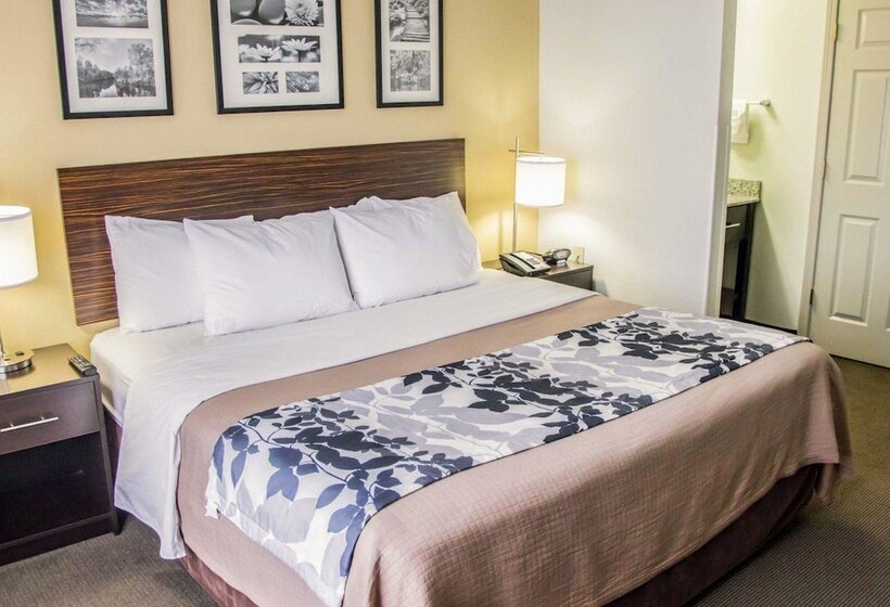Отель Sleep Inn Tinley Park I80 Near Amphitheatreconvention Center