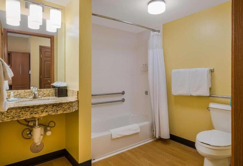 בית מלון כפרי Sonesta Simply Suites Detroit Novi