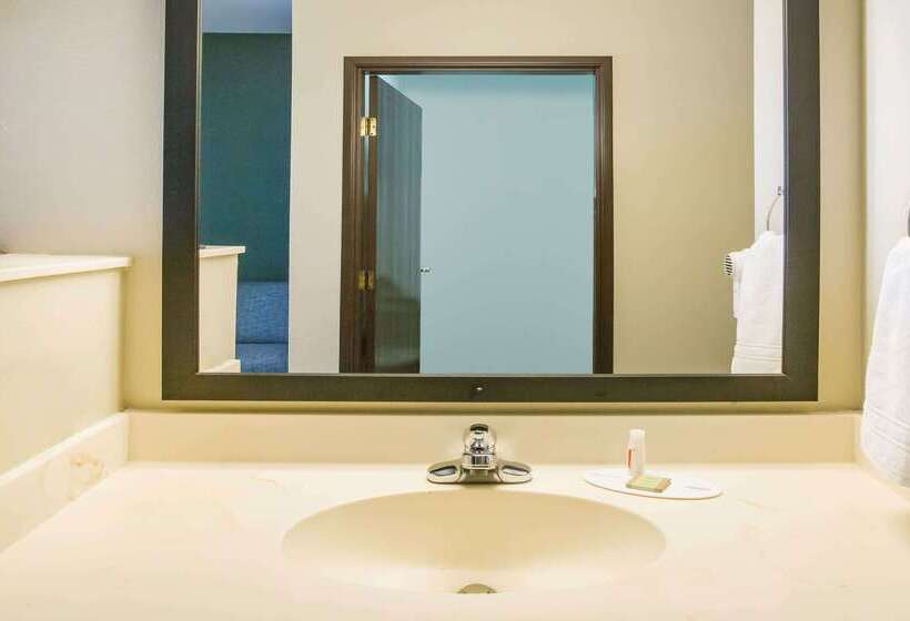 בית מלון כפרי Super 8 By Wyndham Port Arthur/nederland Area