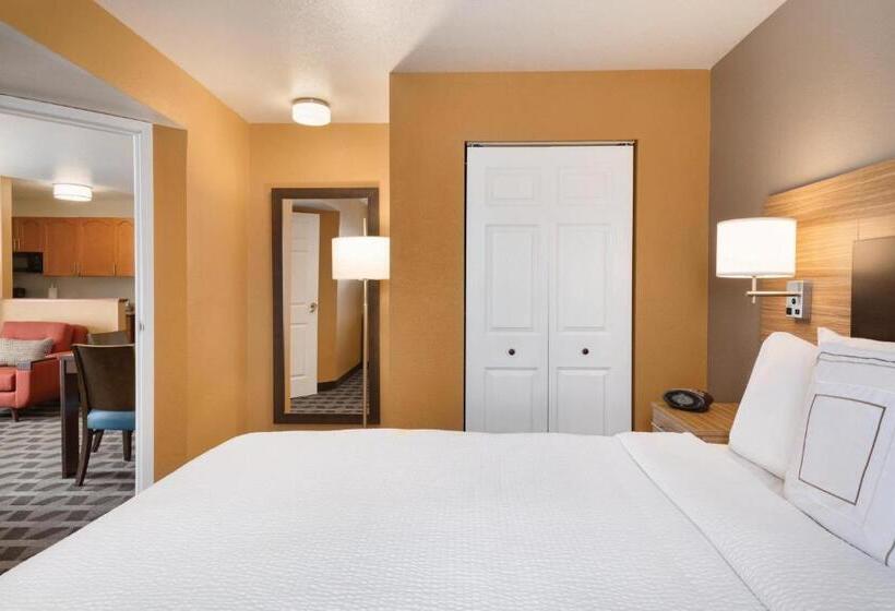 هتل Towneplace Suites By Marriott Denver Downtown