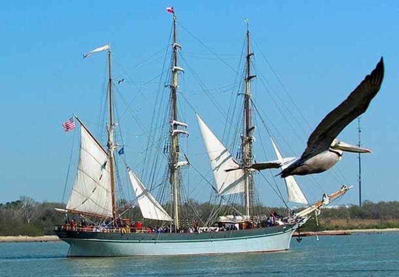 בית מלון כפרי Mainstay Suites Houston Nasa Clear Lake