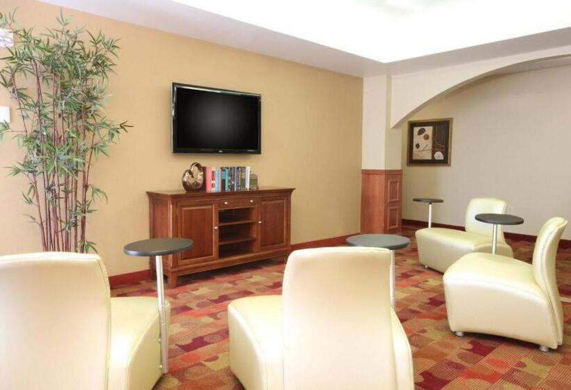 בית מלון כפרי Towneplace Suites Lubbock