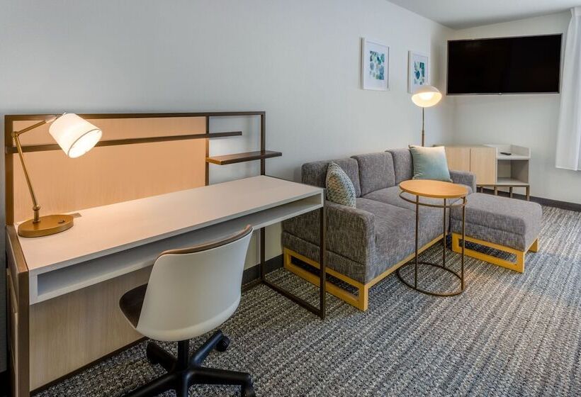 בית מלון כפרי Towneplace Suites New Orleans Metairie