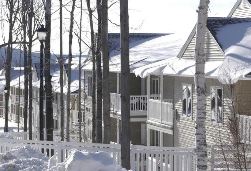 ホテル Vacation Village In The Berkshires