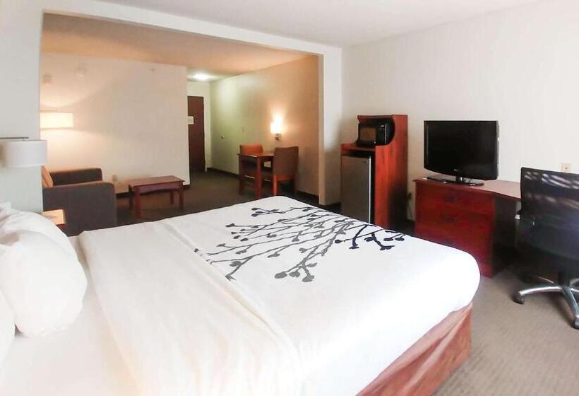 호텔 Wingate By Wyndham Dublin Near Claytor Lake State Park