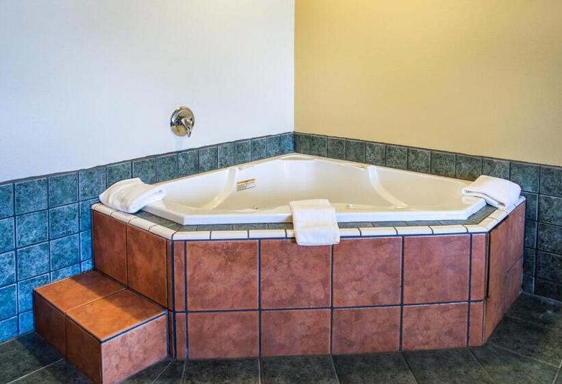 호텔 Wingate By Wyndham Dublin Near Claytor Lake State Park