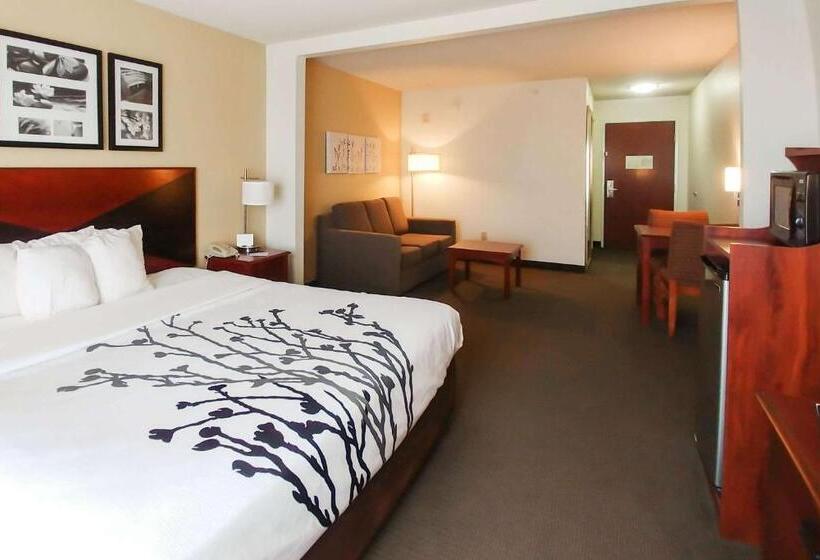 בית מלון כפרי Wingate By Wyndham Dublin Near Claytor Lake State Park
