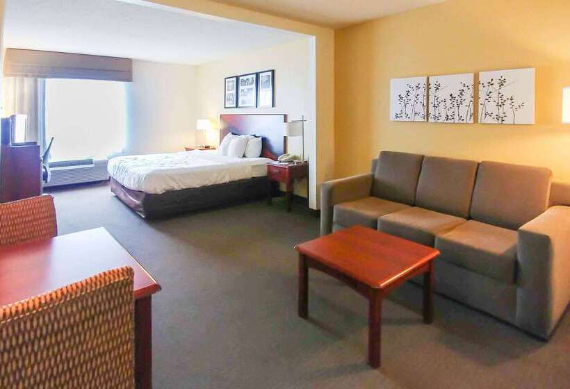호텔 Wingate By Wyndham Dublin Near Claytor Lake State Park
