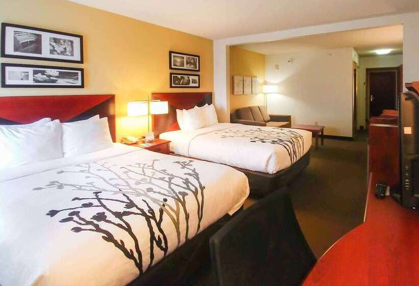 هتل Wingate By Wyndham Dublin Near Claytor Lake State Park