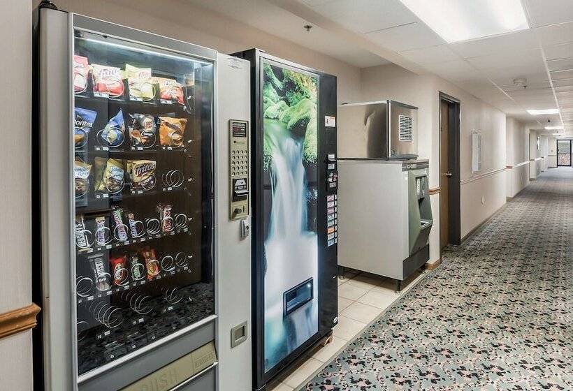 汽车旅馆  Americas Best Value Inn Wenona