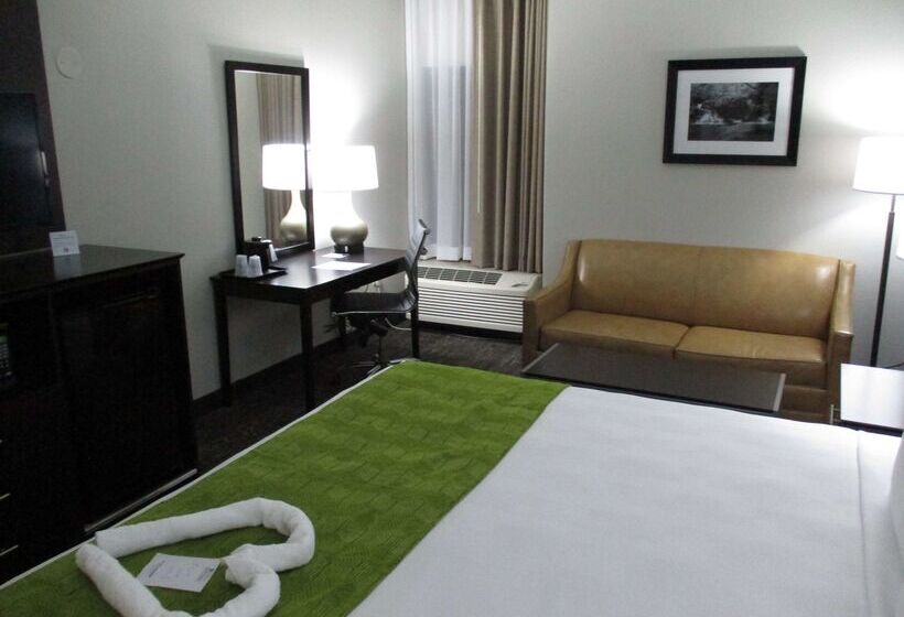 מוטל Best Western Rock Hill