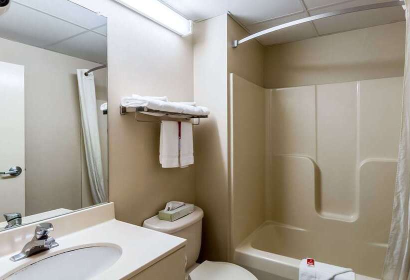 汽车旅馆  Econo Lodge Inn & Suites