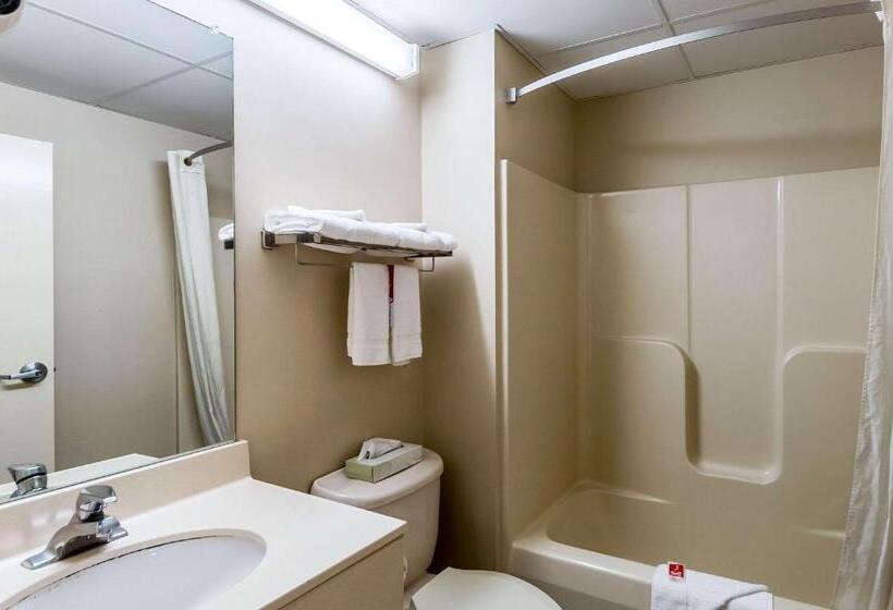 汽车旅馆  Econo Lodge Inn & Suites