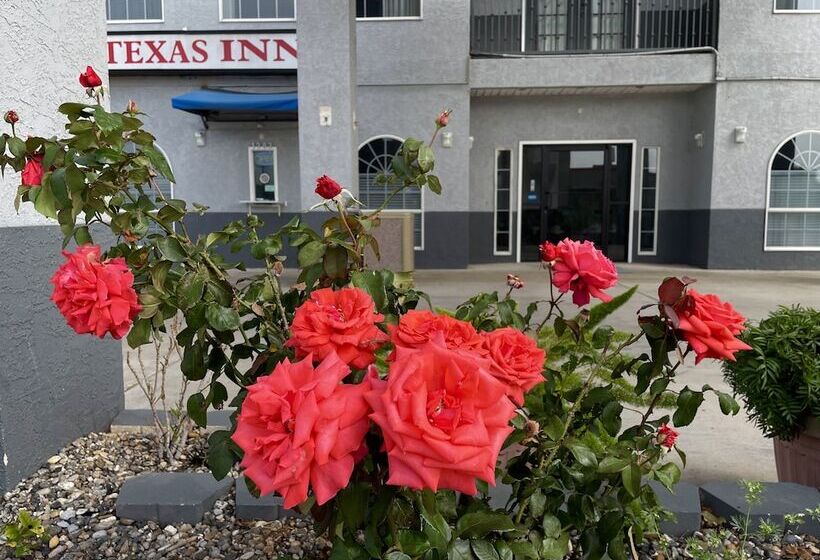 مُتل Texas Inn La Feria