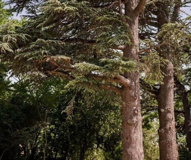 ベッドアンドブレックファースト Château De L Hers