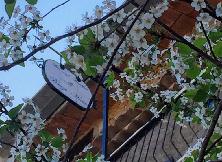 مبيت وإفطار Il Borgo Antico