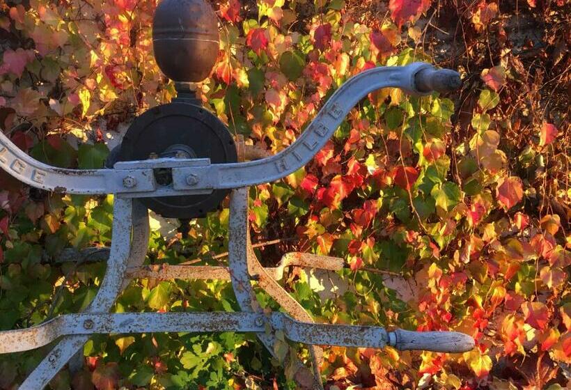 ホテル Zur Moselterrasse