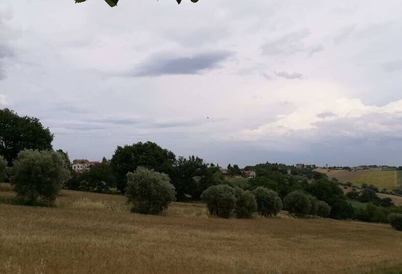 Marche B&b