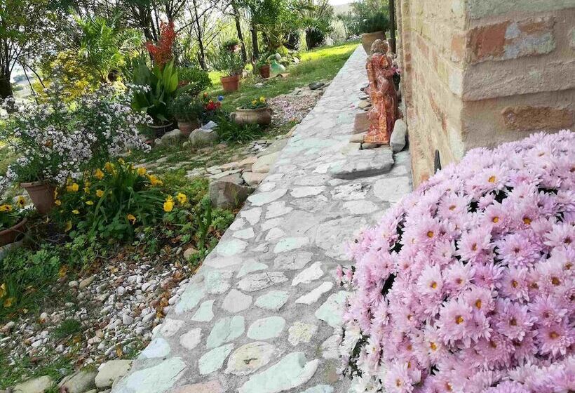 Marche B&b