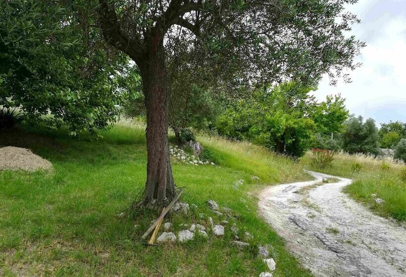 Marche B&b
