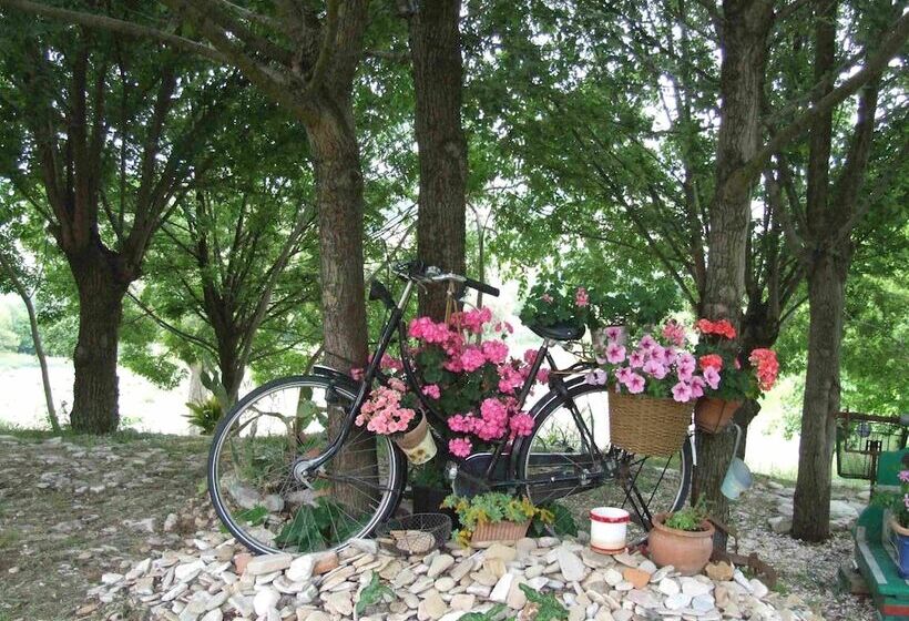 Marche B&b
