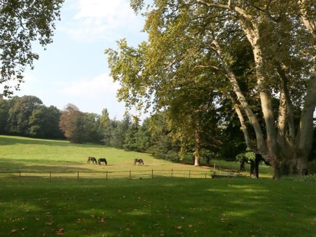 بنسيون Domaine La Bonne Etoile
