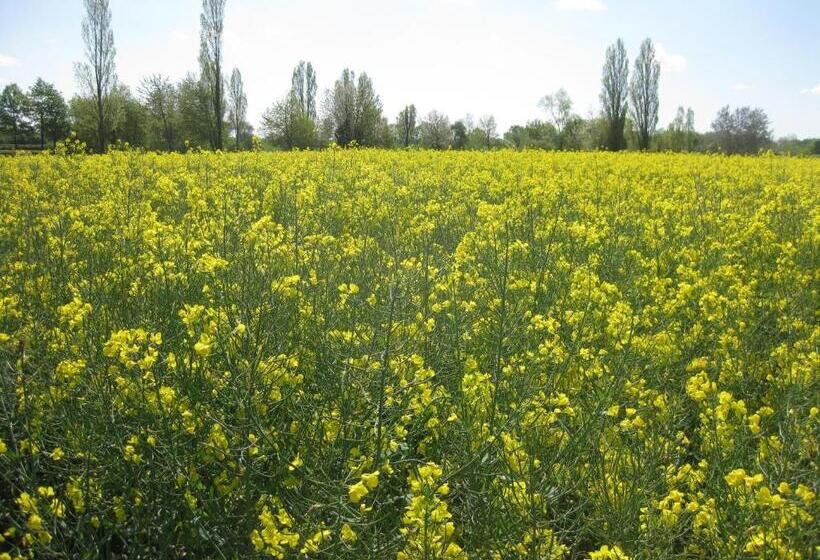 פנסיון Le Petit Cochon Chambre D` Hotes