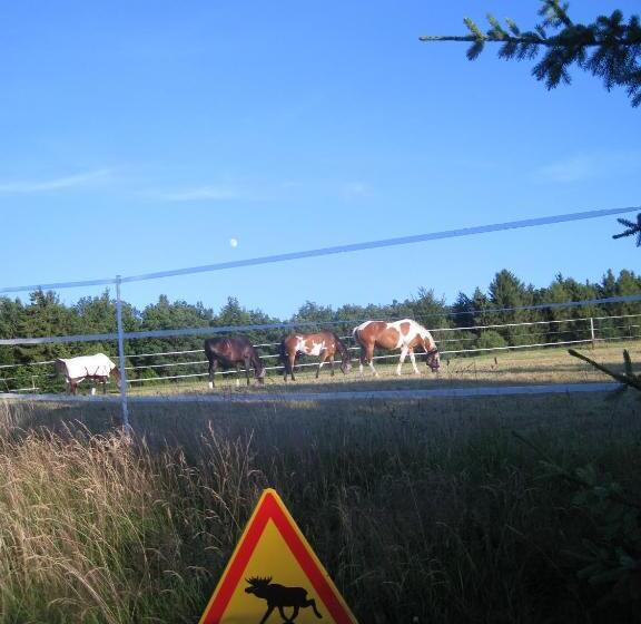 ベッドアンドブレックファースト Romantikmühle Heartlandranch