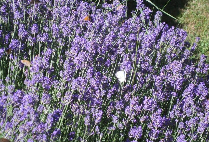 ベッドアンドブレックファースト Romantikmühle Heartlandranch