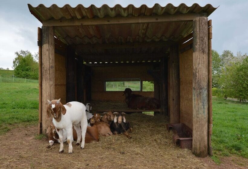 Comfy Apartment In Gransdorf With Garden