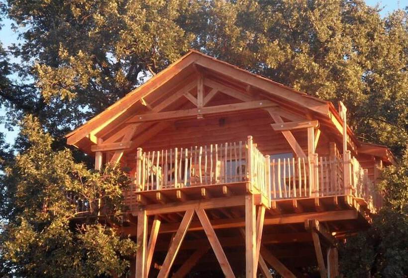 酒店 Cabane D Hôtes Avec Spa Aura Cabana